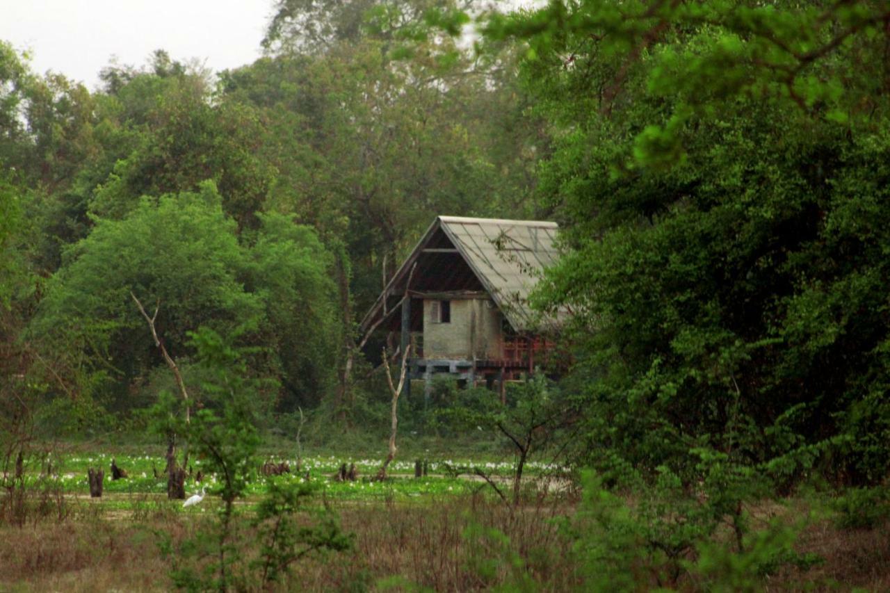 Wasgamu Safari Lodge Wasgamuwa Exterior foto